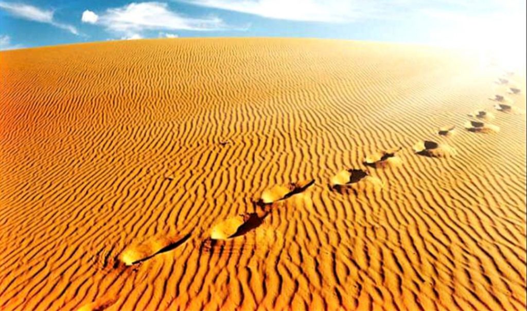 The Gospel of the Grace of God