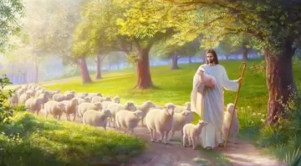 10 Beautiful Ways God Is Still Our Shepherd
