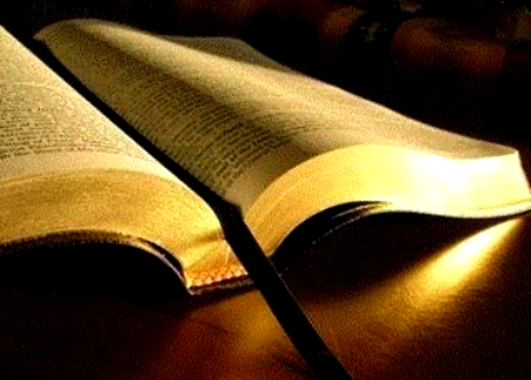 Gracetogospel.com Bible Study