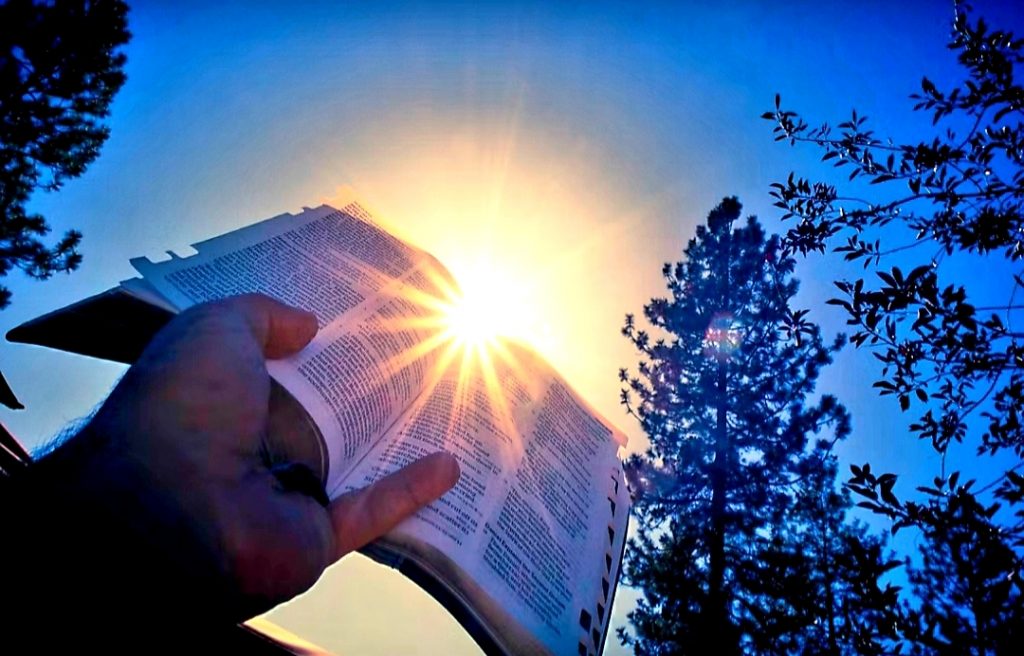 gracetogospel.com Bible study