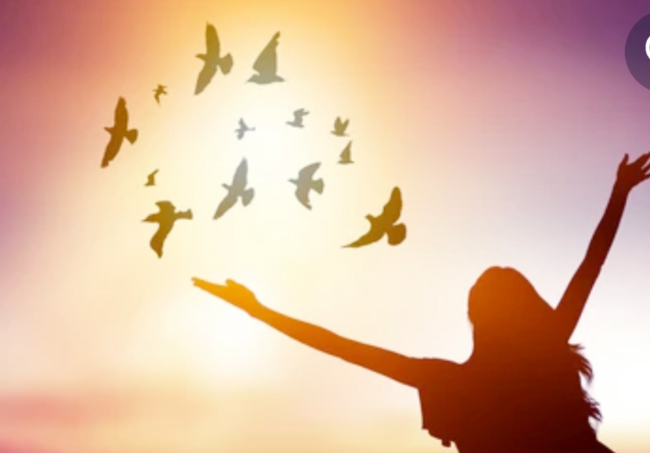 What Does the Bible Teach about Finding Purpose in Life?