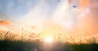 Living in Freedom — Walking Daily in God’s Peace and Joy