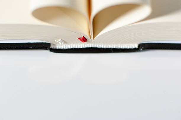 John 3:16 Meaning – Why God Loved the World