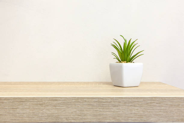 Study Jesus Christ: A Complete Guide to Salvation, Eternal Life, and Daily Spiritual Growth