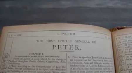 21800-14498-bible-title-three-first-peter