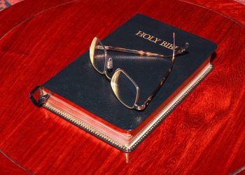 Study Guide: Use the 10 W's to Deepen Your Bible Study